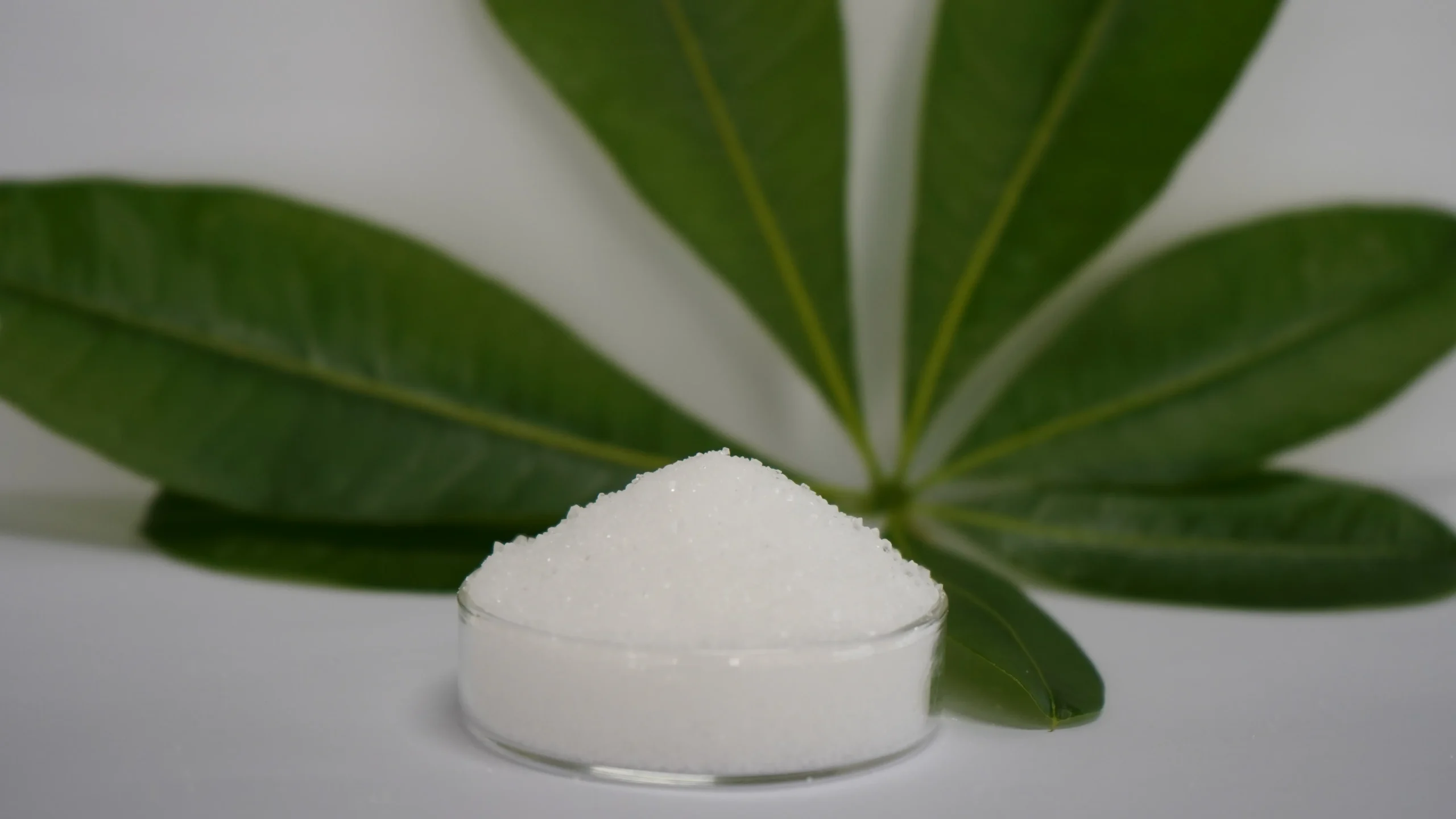 Sodium Tripolyphosphate